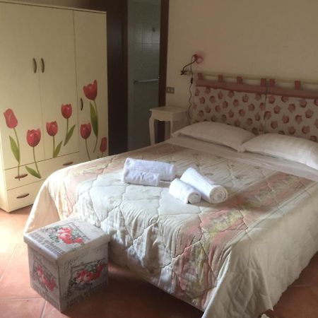 Villa Franca 풀라 외부 사진